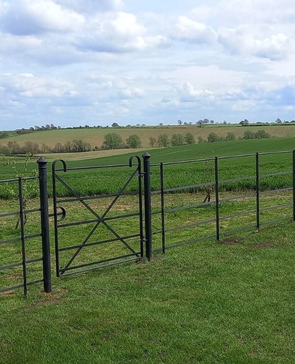 ttc_ironwork's tweet image. Our Diamond Gate feature a classic design with the option of either scrolls or shepherds crooks (as seen here) as top rail detailing. All of our gates are handmade in our workshop using quality materials &amp;amp; manufactured to exacting standards

#metalgate
#steel
#thetraditionalco