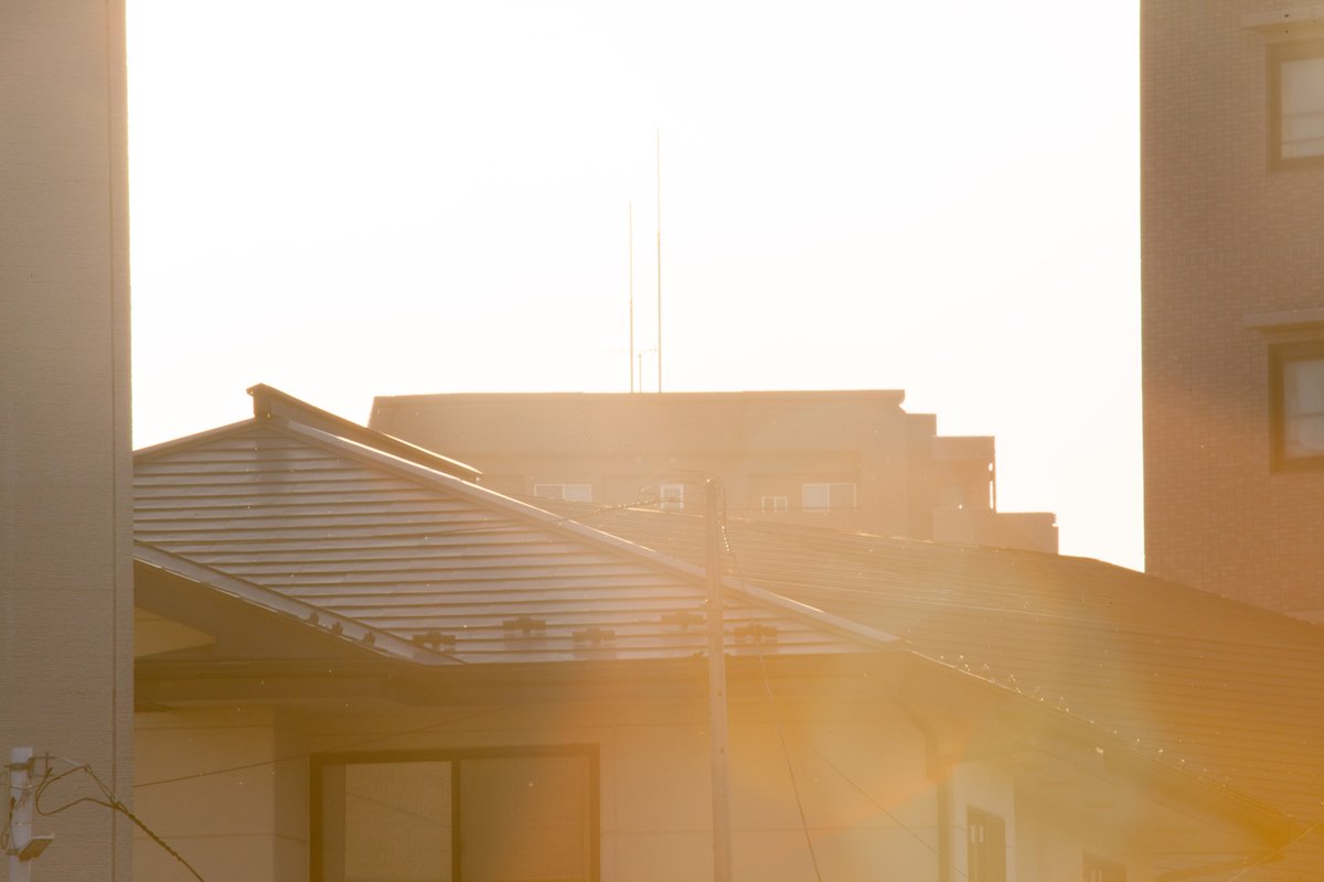 ユコ•ホリ / yuko hori tweet media
