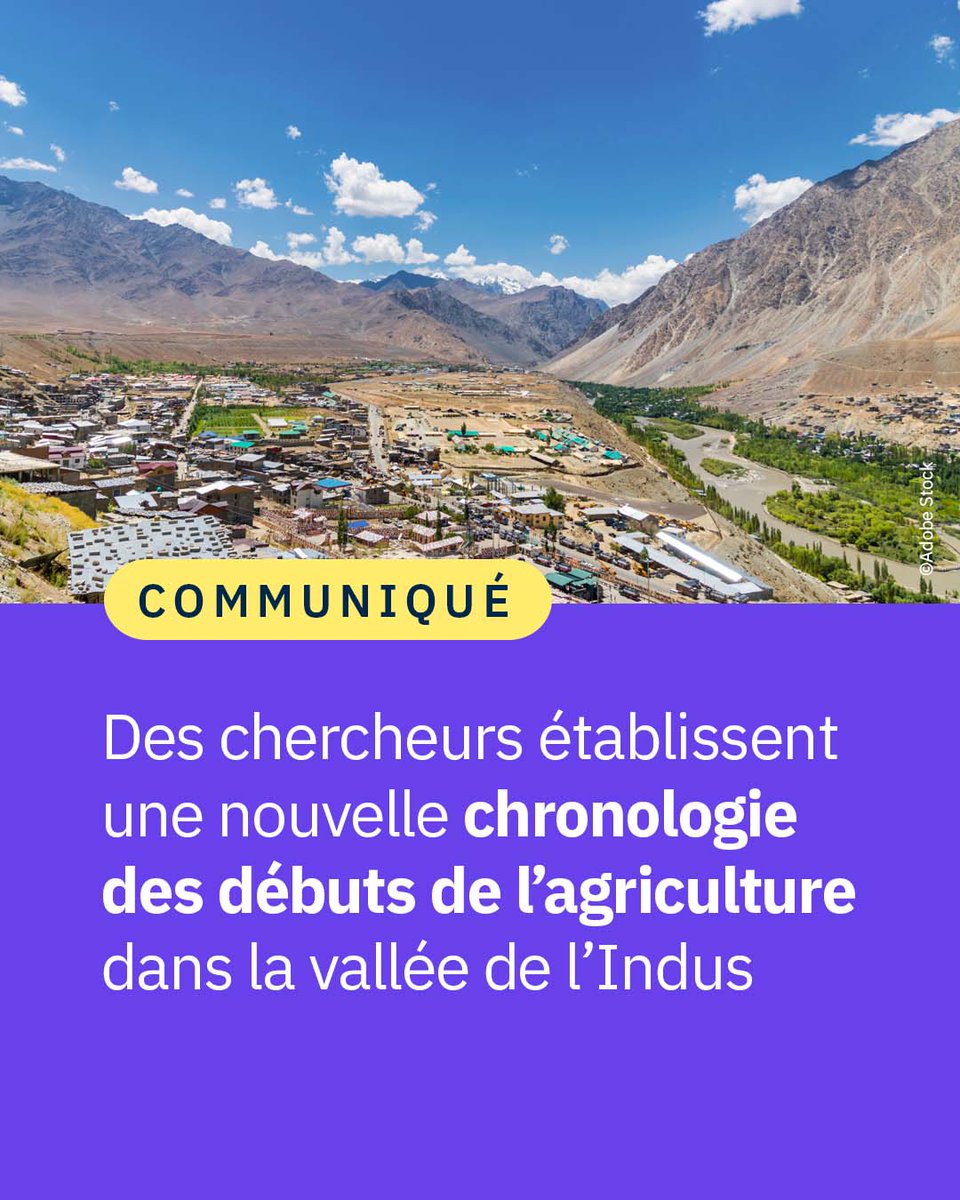 #Communiqué 🗞️ Des chercheurs établissent une nouvelle chronologie des débuts de l’agriculture dans la vallée de l’Indus au Pakistan, offrant un nouvel éclairage sur sa diffusion en Asie du Sud.

👉 cnrs.fr/fr/presse/des-…