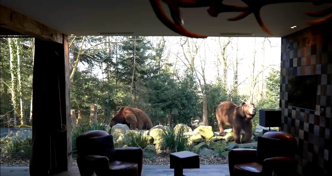 🦒 Ce mercredi 16 avril à 13h40, découvrez les coulisses du Zoo de la Flèche, le plus ancien zoo privé de France, dans un reportage signé Alice Fimbel-Bauer. À retrouver sur M6 dans "Un jour un doc".📺