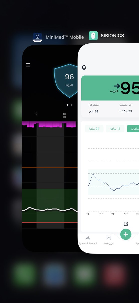 رنا 🕊. tweet media