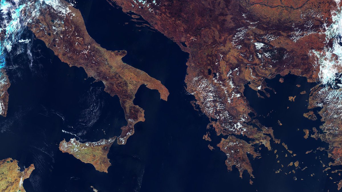 Must Srl tweet media