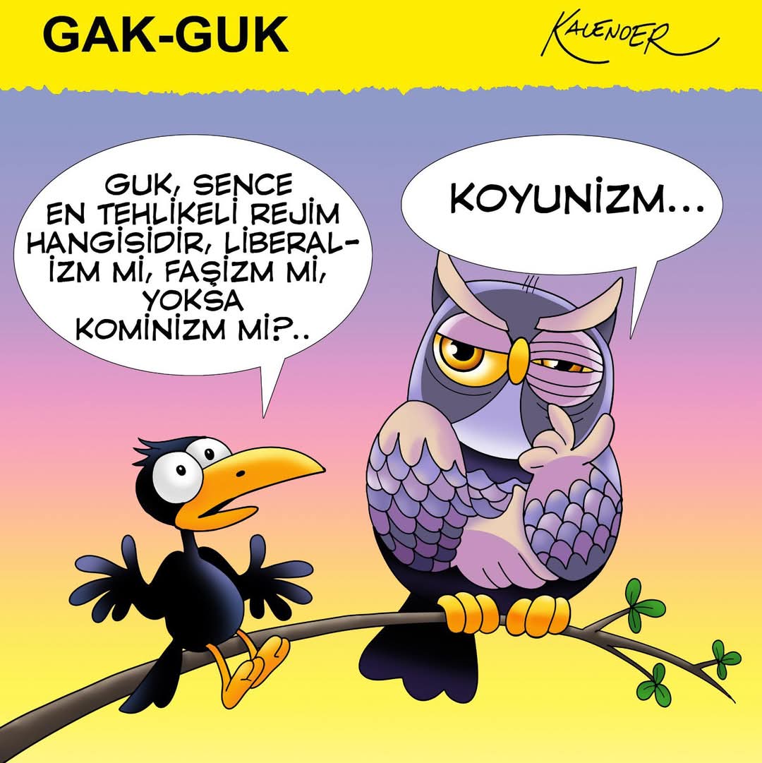 GÖRDÜK, YAŞADIK, yaşıyoruz.. #istanbulgönüllüleri #türkiyegönüllüleri