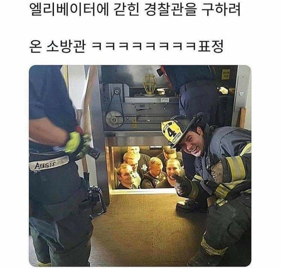그니까 백일몽 재관국 사이가 소방관과 경찰관 정도로만 앙숙 관계였으면 좋겠어