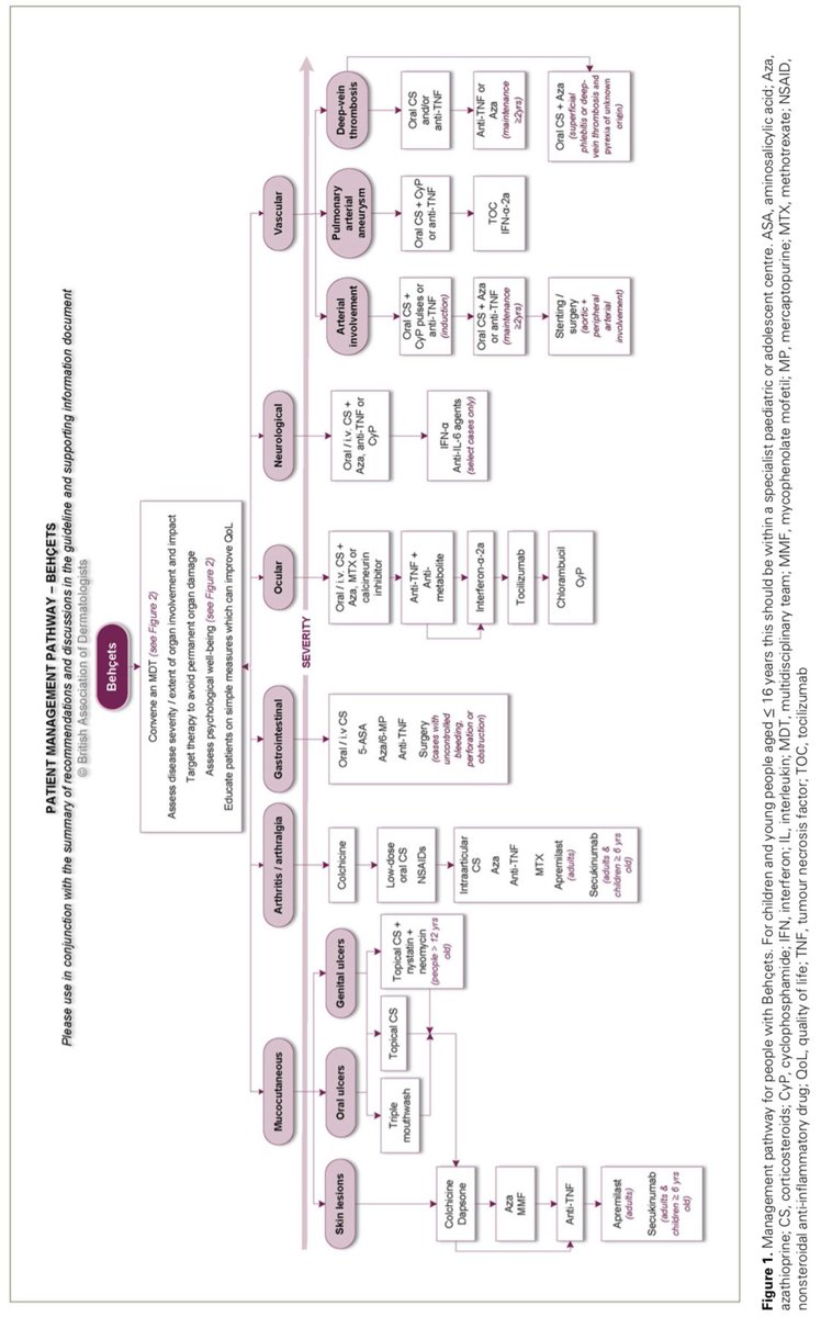 LastManStand85's tweet photo. British Association of Dermatologists and British Society for Rheumatology living guideline for managing patients with Behcets Syndrome👇
#Vasculitis #Rheumatology #MedTwitter https://t.co/0vrIqoFpIy