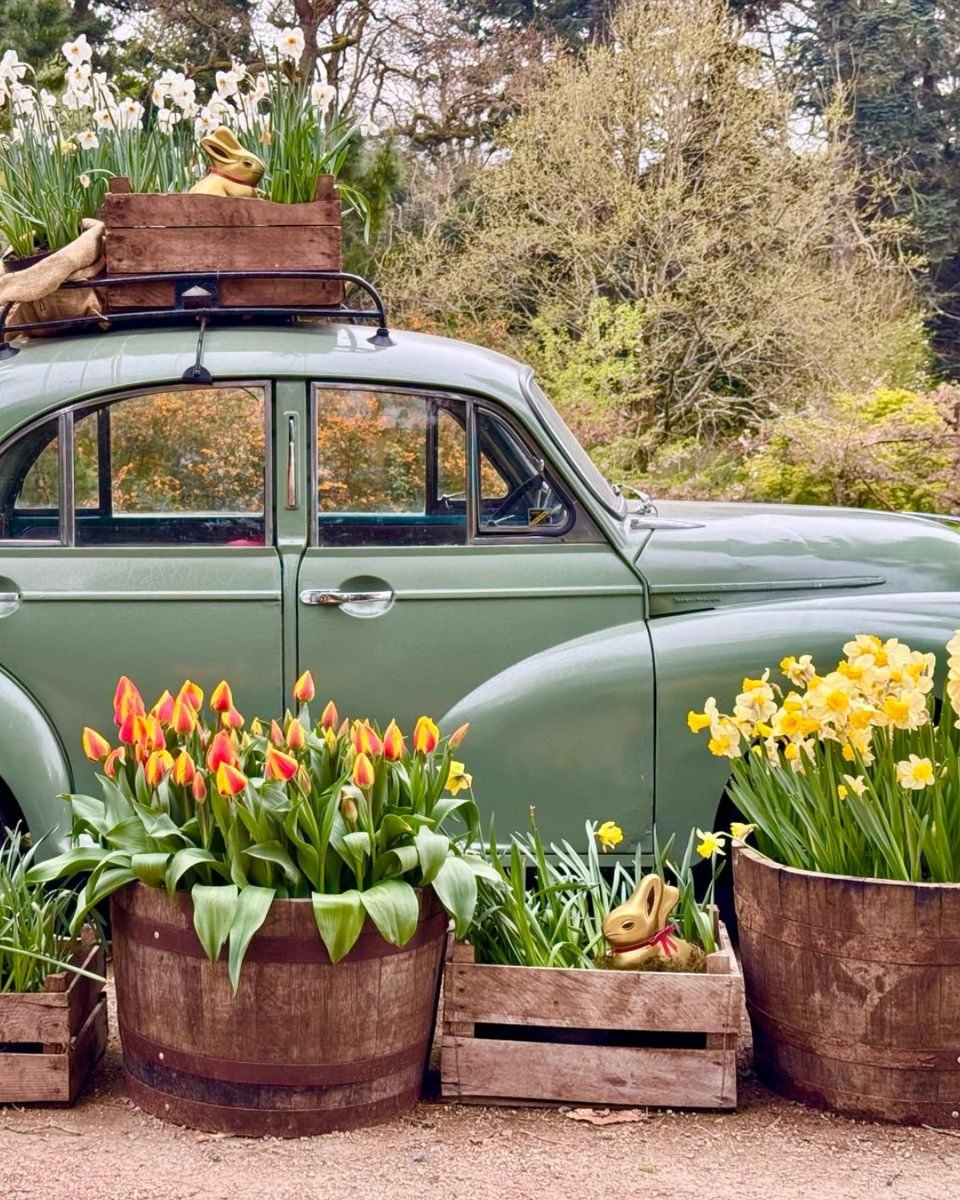 Have you been to visit the Lindt GOLD BUNNY Hunt at Hillsborough Castle yet? 🐰 

Explore our lovely gardens and enjoy the perfect family activity this Easter 🤩 

📆 12 April - 27 April 2025
🎟️ Included in gardens admission.