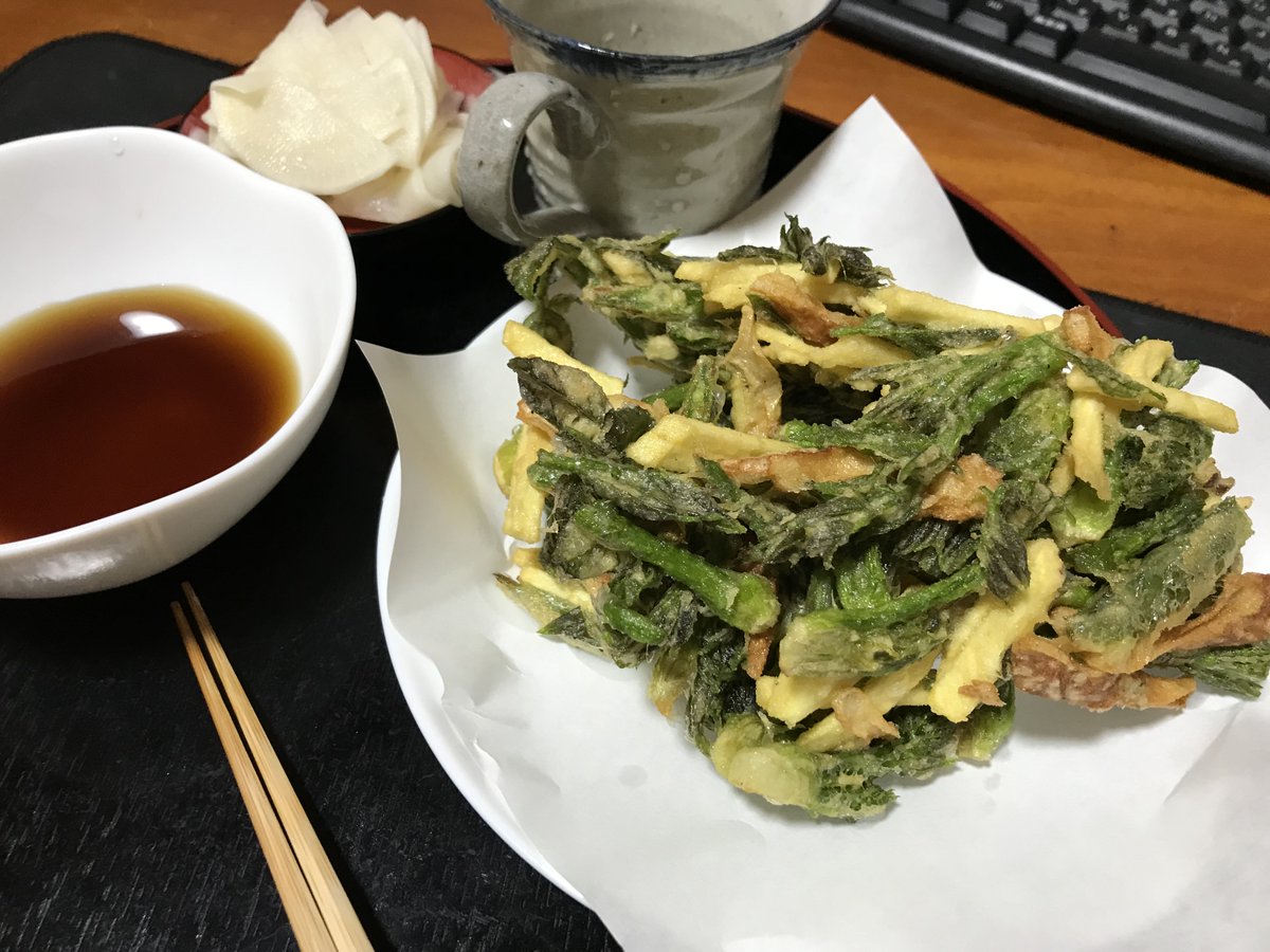 mamachi2012's tweet photo. 今が旬のタラの芽。6本ほど植えてあるので2人では食べきれません( ˙꒳​˙ )

かき揚は旦那さま作ですよ。 https://t.co/CEi4WyqUNZ