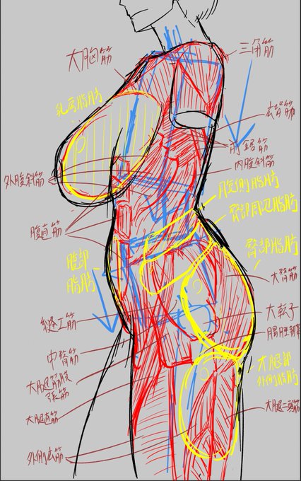 åŠã³ãåŸããåŠã¶
ããŒããããªãã±ãŒå€§äœããã£ãâããã£ãŠãªã