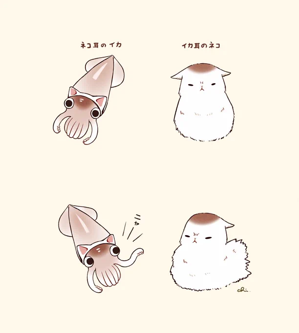 🐈🦑 
