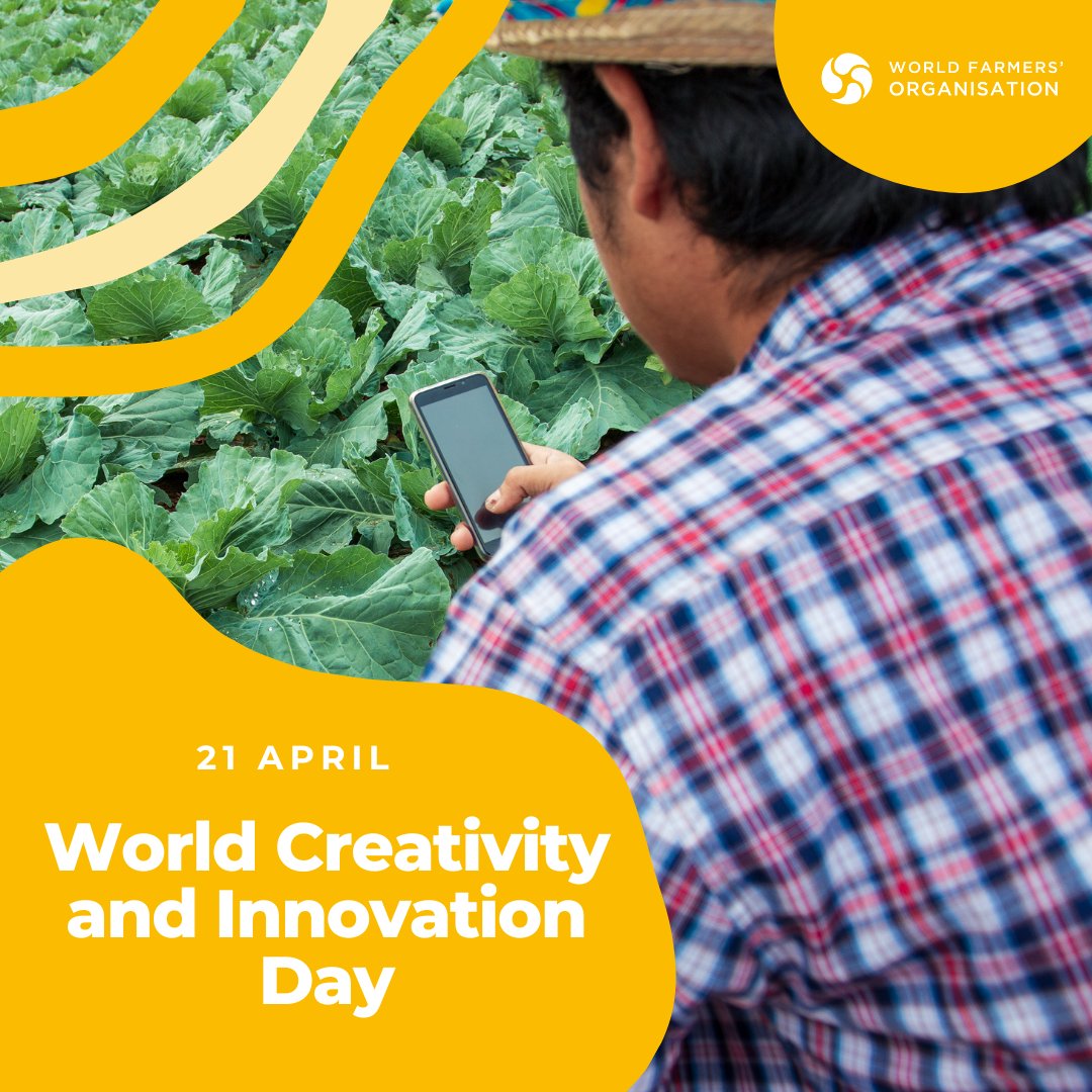 #Farmers are creators of innovative solutions - constantly adapting to🌎challenges. 
#Innovation in #AG is🔑to building a more #resilient and #sustainable future for all, but it must be farmer-driven, accessible, affordable and relevant to local contexts!