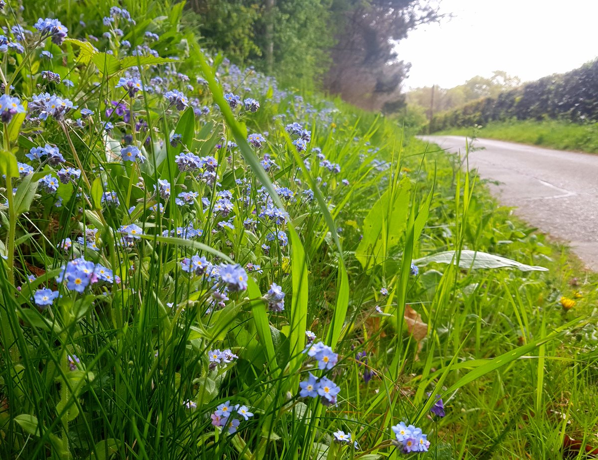 CrikeyIt'sCroydon tweet media