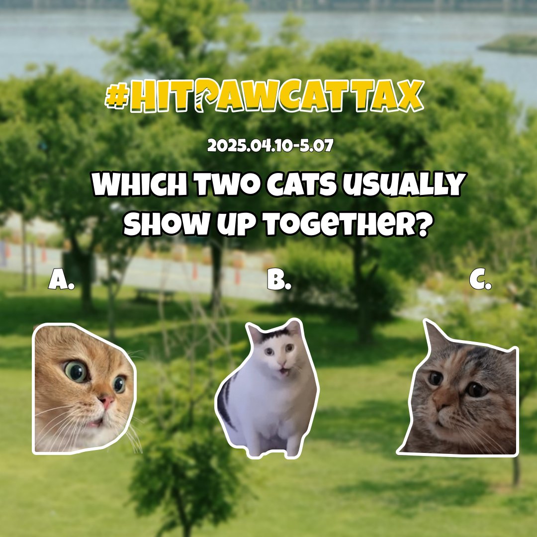 HitPawofficial's tweet image. Guess Test | How Many Can You Answer Correctly? 
25 Points Per Question! Can You Score 100%? 
Take the challenge—how high can you score? 💯👇Drop your score in the comments! cutt.ly/prfwVOs7

#HitPawCatTax #HitPaw #cattax #cat #giveaway #Memes
