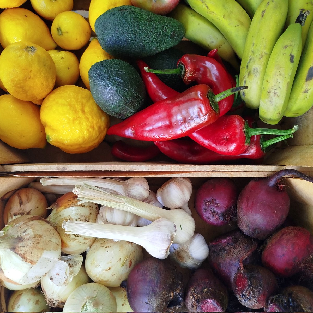 Yine çok renkli, yine çok lezzetli taze sebze ve meyveler kooperatifte 💚💙

#yerdenizkoop #kooperatif #kooperatifçilik #dayanışma #tazesebzemeyve #gıdahakkı #gıdaegemenliği #yaşamıbirlikteörgütlüyoruz