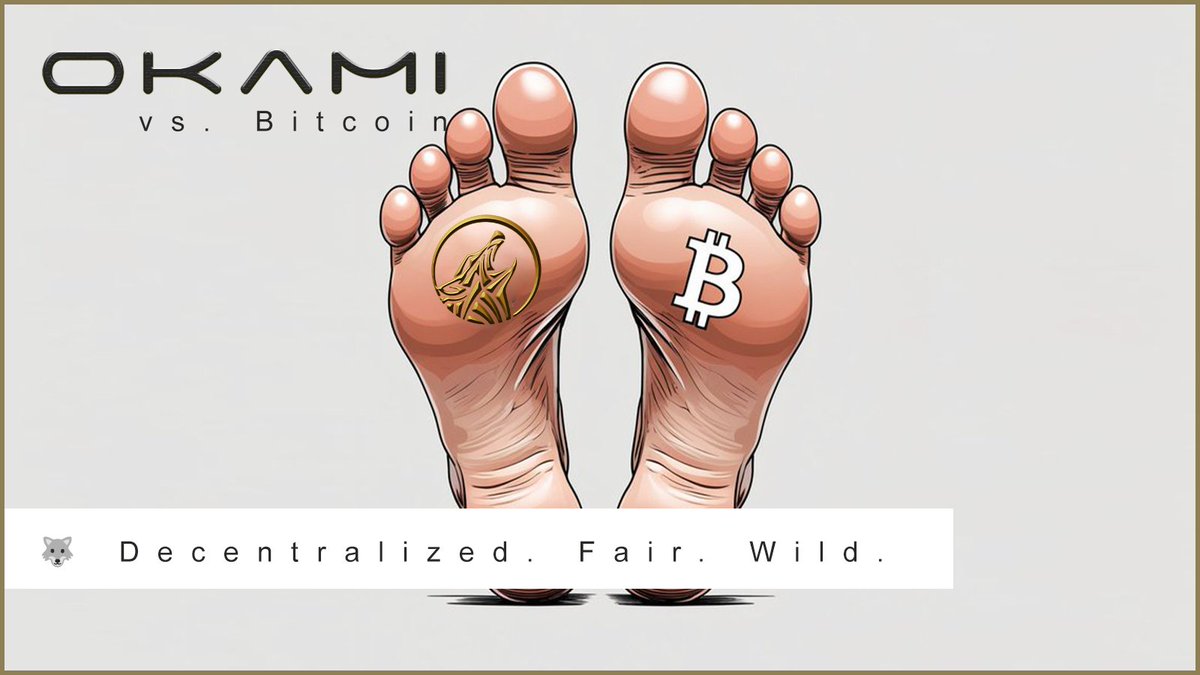 O K A M I tweet media