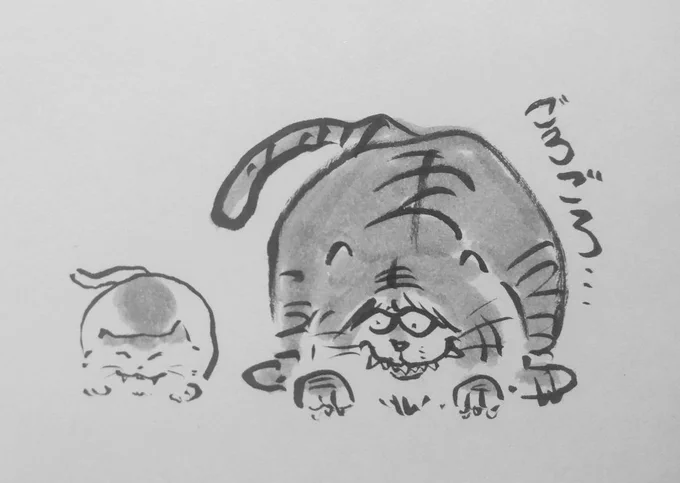 猫になりたい虎 
