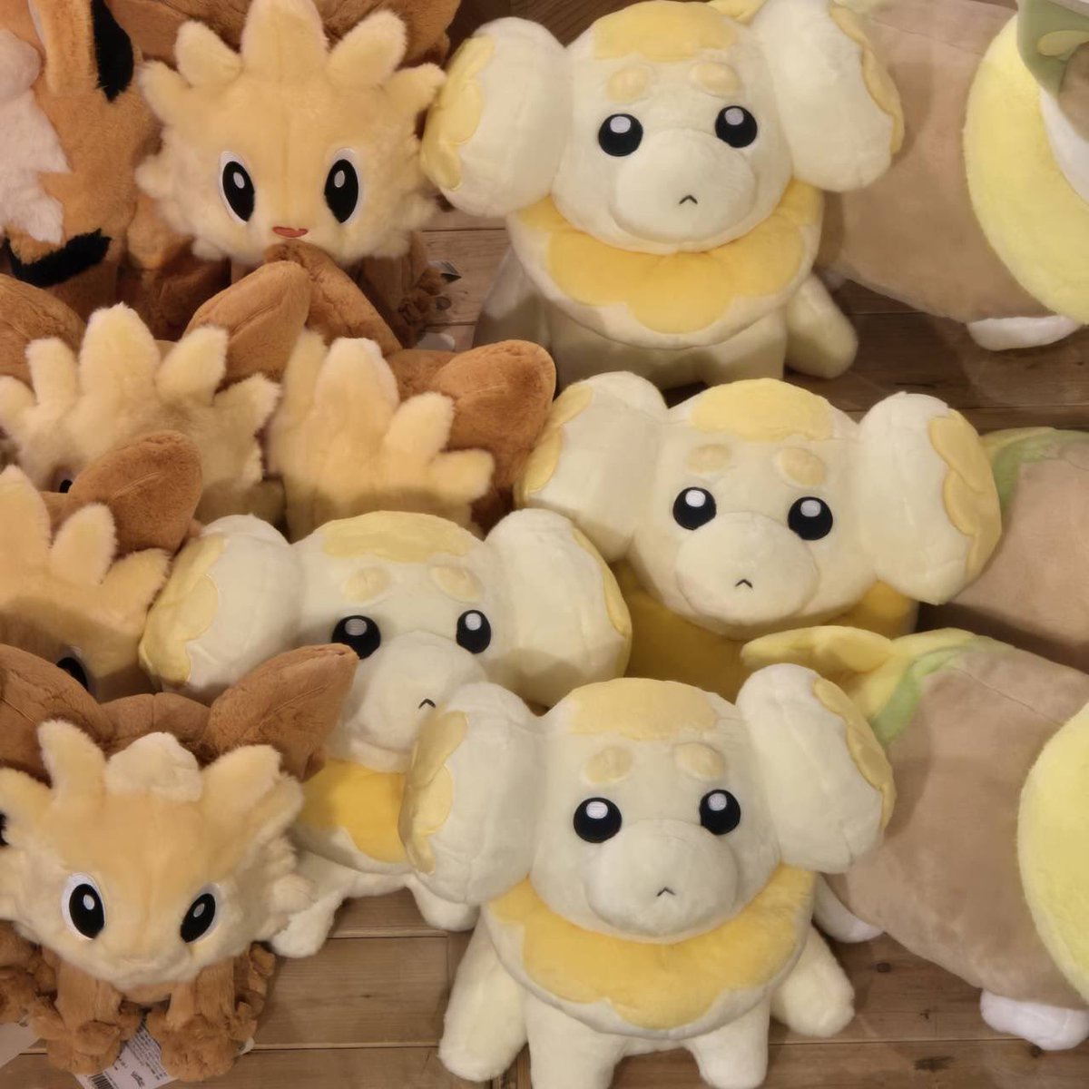 ポケモンセンター出張所 in 函館 蔦屋書店 2025年 4/16（水）－5/15