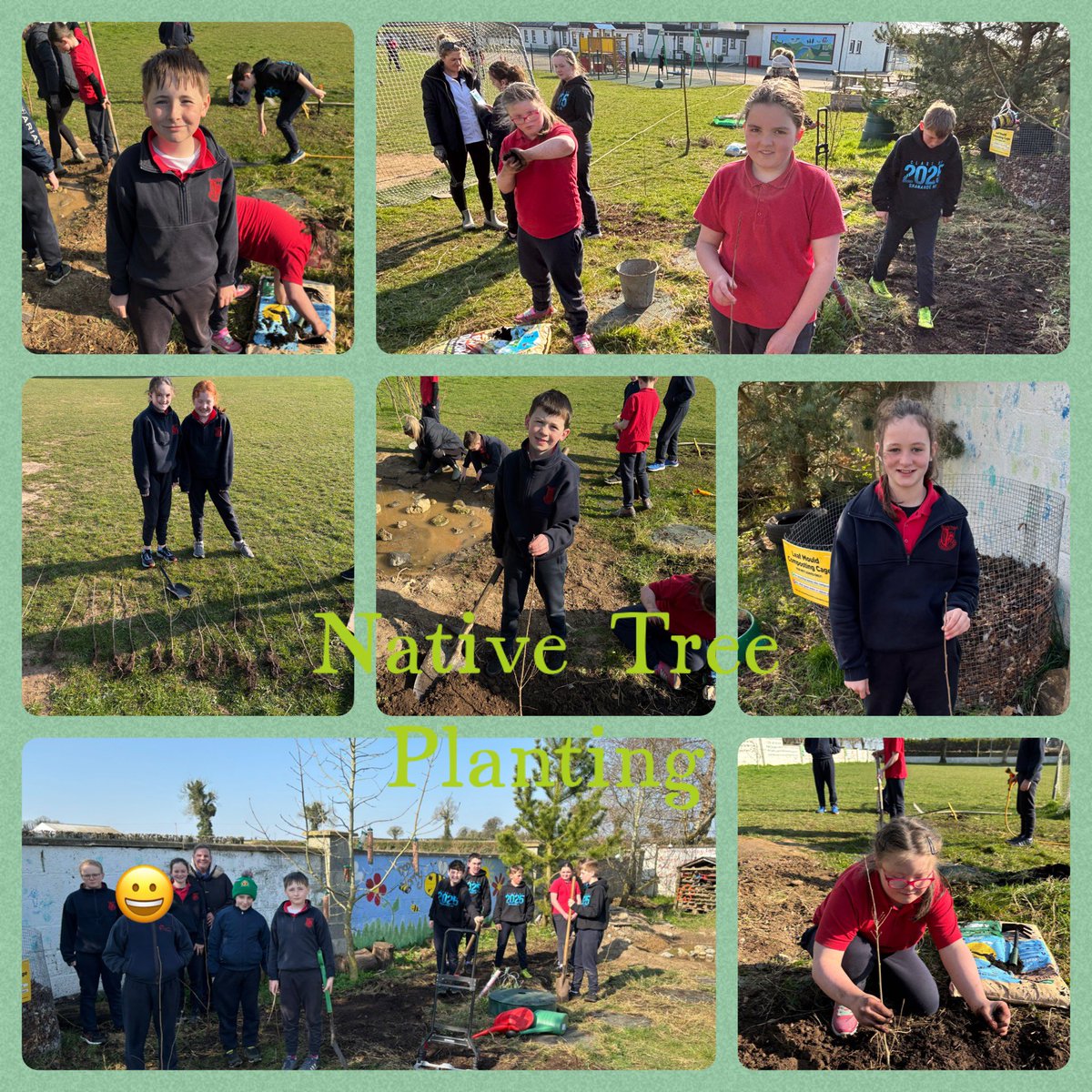Native Tree Planting 🌳: Many thanks to Paddy Mangan at ‘Free Trees Ireland’ for providing us with saplings of native Irish trees, namely Oak &amp; Hazel to plant in our biodiversity area in the school grounds. We look forward to seeing them grow and develop over time 🌳