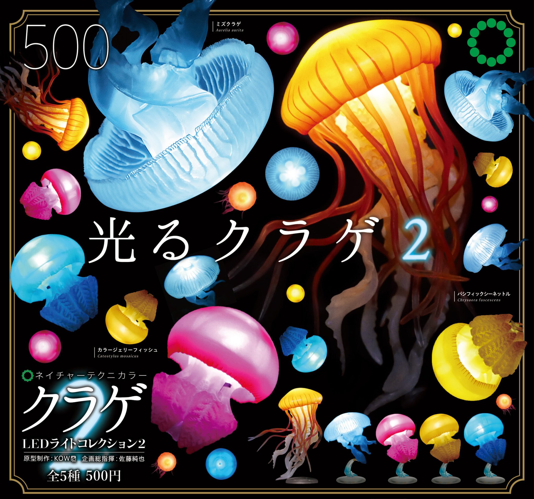 クラゲ プリンス グラフィティ 25 ハイドロゲン 7T49L [グラフィティ