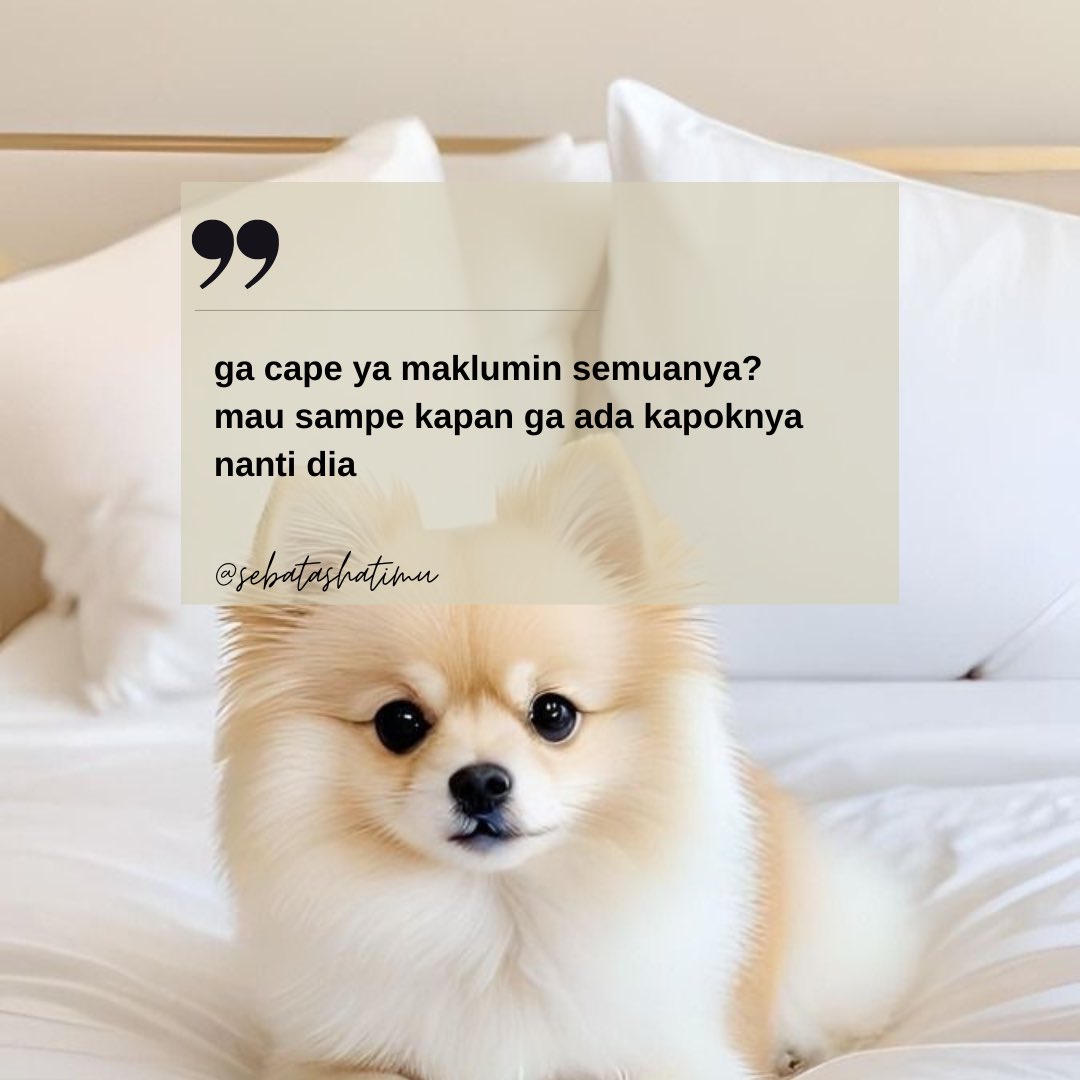 Sebatas Hati tweet media
