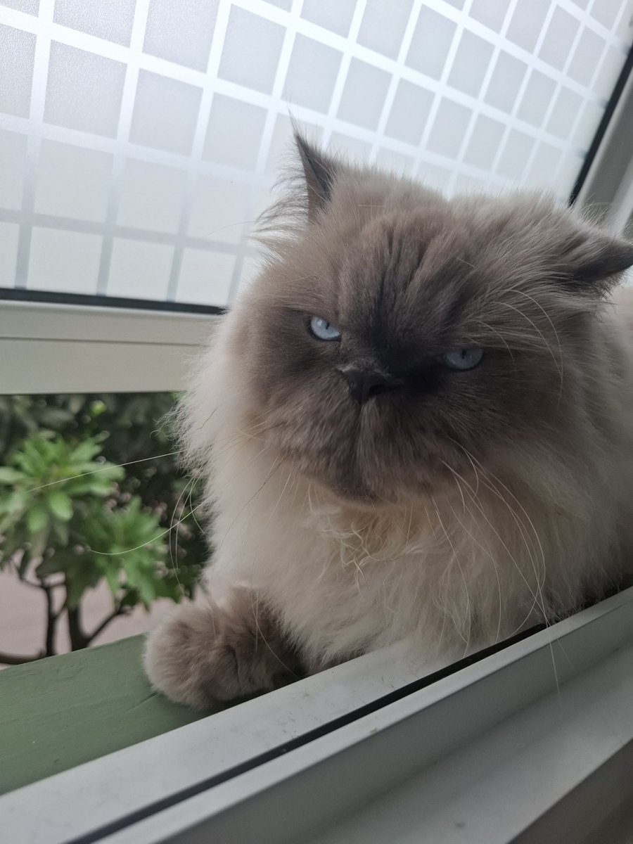 Mnyambut km pulang krja dngan ketamfanan 😇