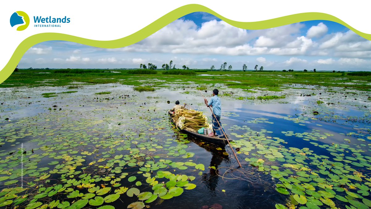 From sustaining livelihoods to storing centuries of cultural memory, wetlands are living archives of natural heritage. 

This #WorldHeritageDay, let’s honor them as vital threads in our shared heritage.🌍🌿💧 

#OurHeritageOurFuture #NaturalHeritage #WetlandWednesdays