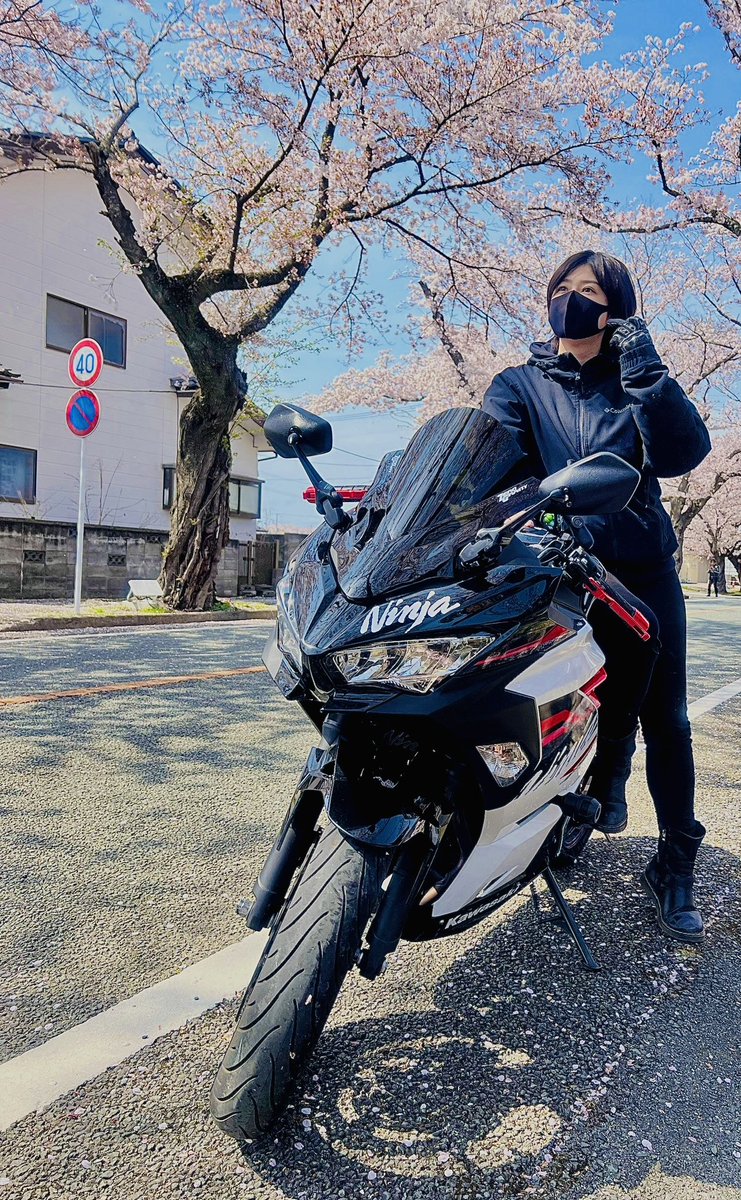 あれ…桜を見ずに桜のシーズン過ぎるかも…