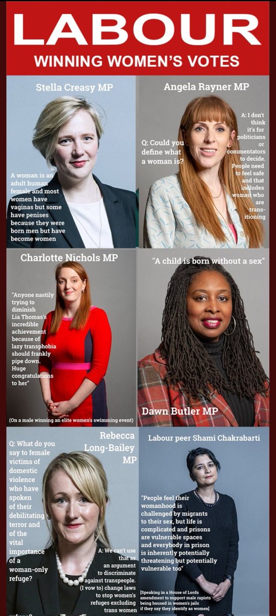 KarrieboKarrie's tweet photo. Never forget what politicians have done to women and girls https://t.co/oXgiYvhYXm