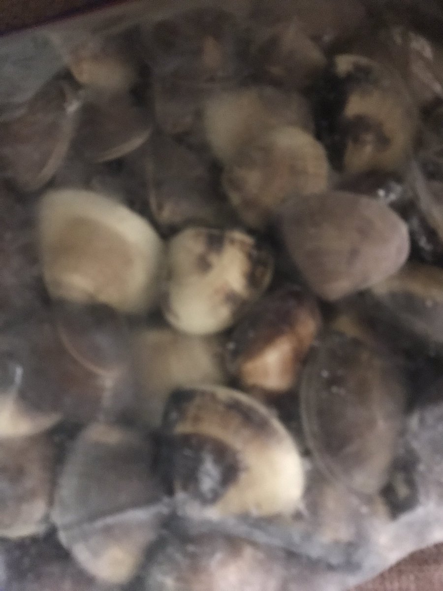 Kaokao231056's tweet photo. 当日便で届きました
当日に茨城(き)から届くとかびっくりして開けたら新聞も茨城!
いやどーもっっっ!
あの日に頑張ったご褒美じゃないですか!
寒い中ホリホリしてくれた貝たちは明日以降みんなで美味しくいただきます😋
ご馳走様です
@x_makidai_x
#PINGames https://t.co/QR1aI0rNCW