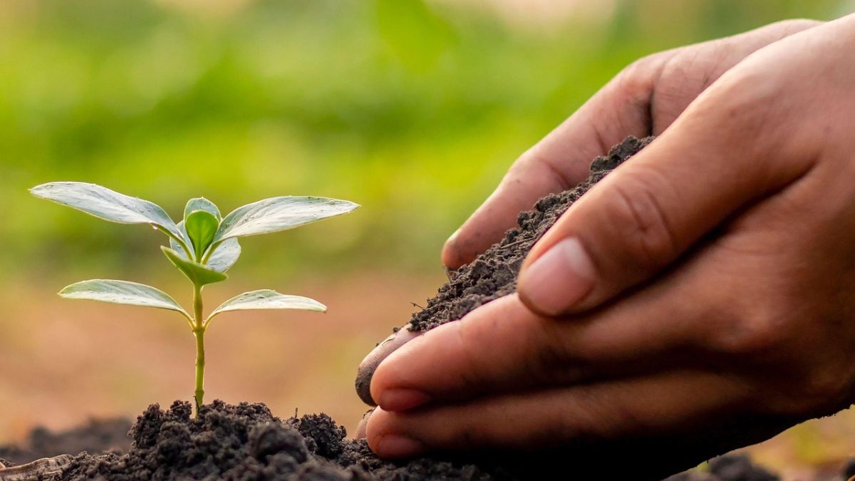 Educators sow seeds of change to achieve breakthroughs of the mind and heart, and we carry out innovations through a continuous improvement process. MAC in a Moment-4/16/2025  mailchi.mp/michiganassess…