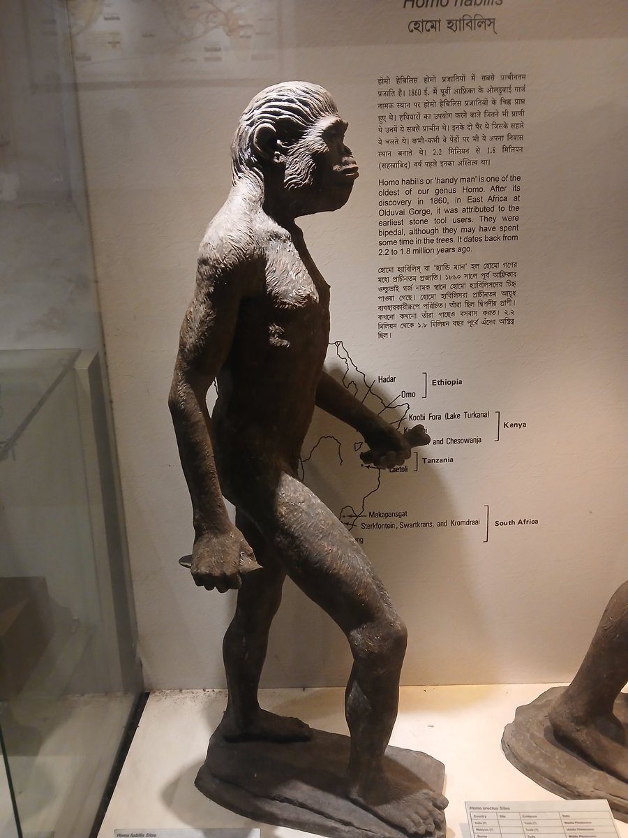 100Kumar_ankit7's tweet photo. Human Evolution
Indian Museum Calcutta
#prose #poems #writer #novel #diary #penpaper #Author #storyteller #story #creativewriting #tourism #library #book #bookfair #storytellings #college #graduation #masters #postgraduate #Calcutta #parkstreetkolkata #esplanade #howrah https://t.co/pA9YsUJuAl