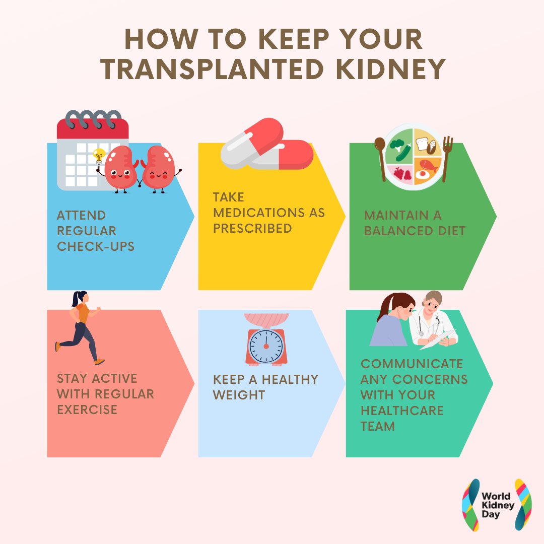Kidney transplant recipients must follow key guidelines and stay mindful of potential risks to protect their new organ. Take the right steps to keep your transplanted kidney healthy. 

Learn more 💡worldkidneyday.org/facts/topics/o… 

#WorldKidneyDay #AreYourKidneysOK #KidneyHealthMatters