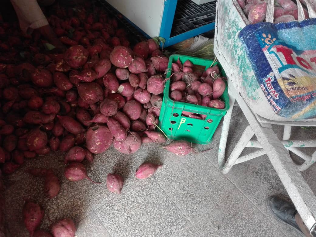 La UEB de Hormigón y Terrazos de #Avilmat, realiza venta de boniato y otros productos de su autoconsumo a sus trabajadores, Si se puede con confianza en el éxito. #FidelPorSiempre #CubaVencerá #LatirAvileño <a href="/Emp_Avilmat/">Empresa Materiales de Construcción Ciego de Ávila</a>