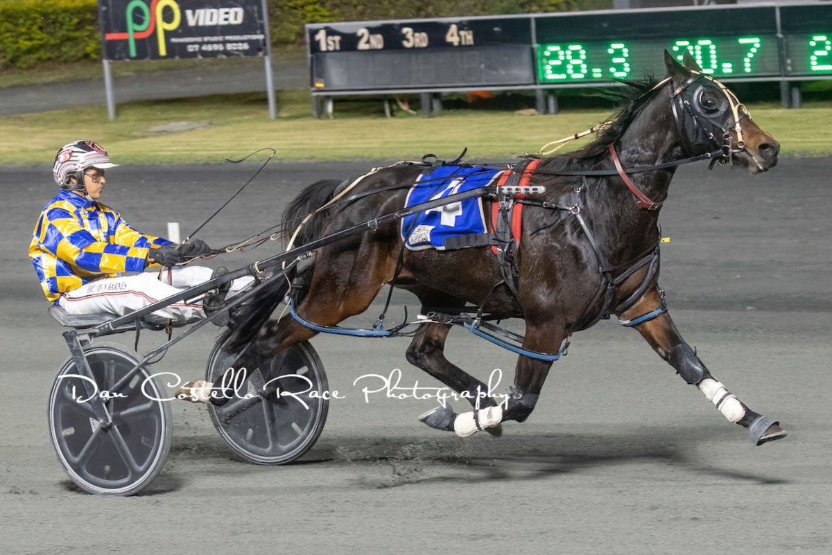 Dan Costello (@danracingwrap) on Twitter photo Ribeiro with <a href="/barnesy1997/">Brendan Barnes</a> win race 7 <a href="/redcliffe_hrc/">Redcliffe Harness Racing Club</a> for trainer <a href="/RileyButt6/">Riley Butt</a> @TRButtRacing Ribeiro with <a href="/barnesy1997/">Brendan Barnes</a> win race 7 <a href="/redcliffe_hrc/">Redcliffe Harness Racing Club</a> for trainer <a href="/RileyButt6/">Riley Butt</a> @TRButtRacing