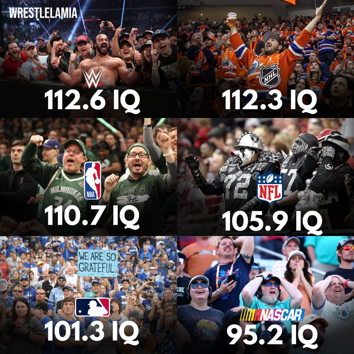 A study by "How To Bet" has shown WWE fans have the highest average IQ out of any major US Sport.

(Tested on 1006 U.S Sports fans)