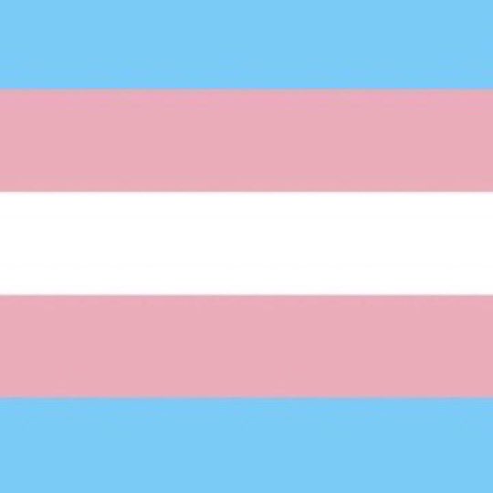 these characters are trans 🇵🇸🏳️⚧️ tweet media
