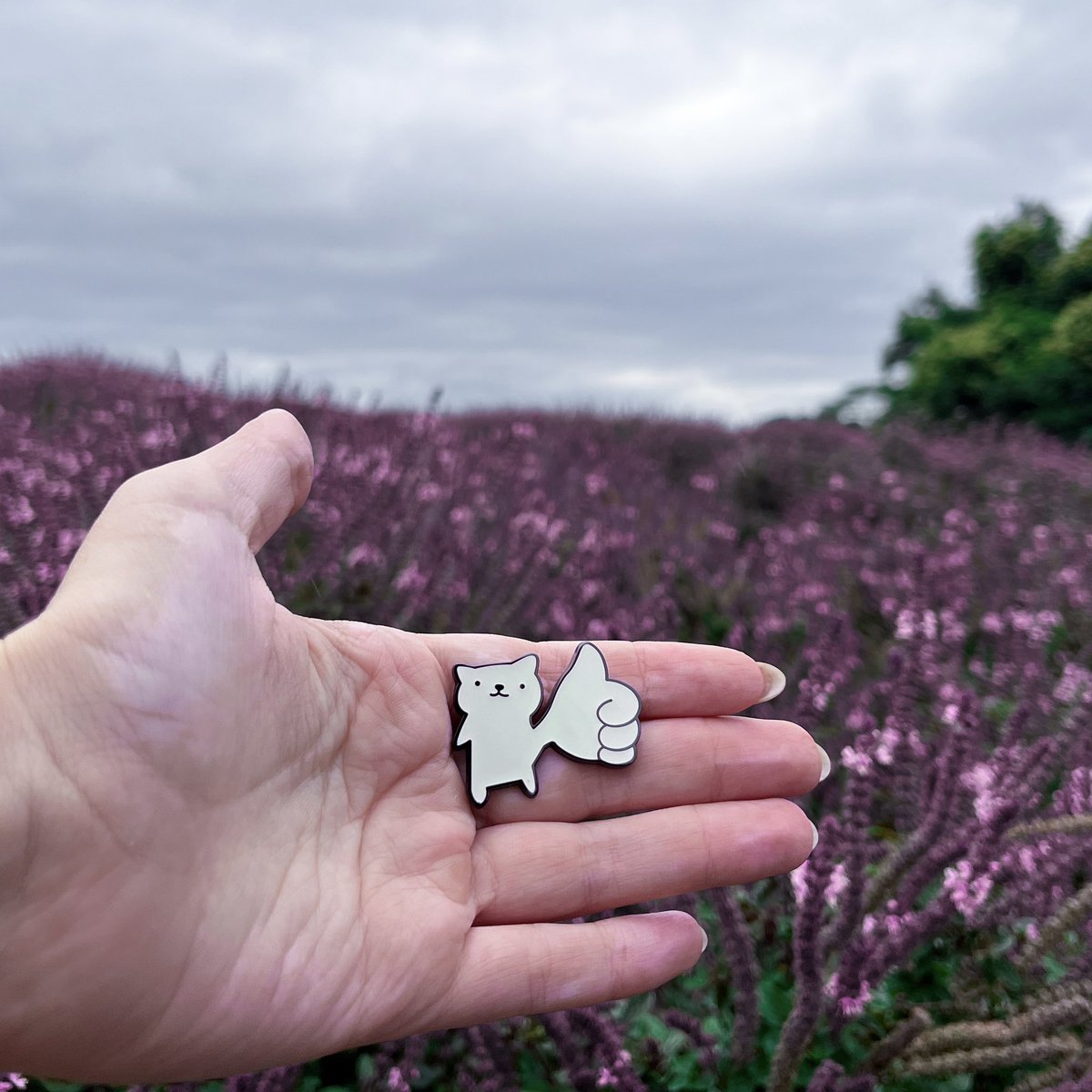 poorly drawn cats tweet media