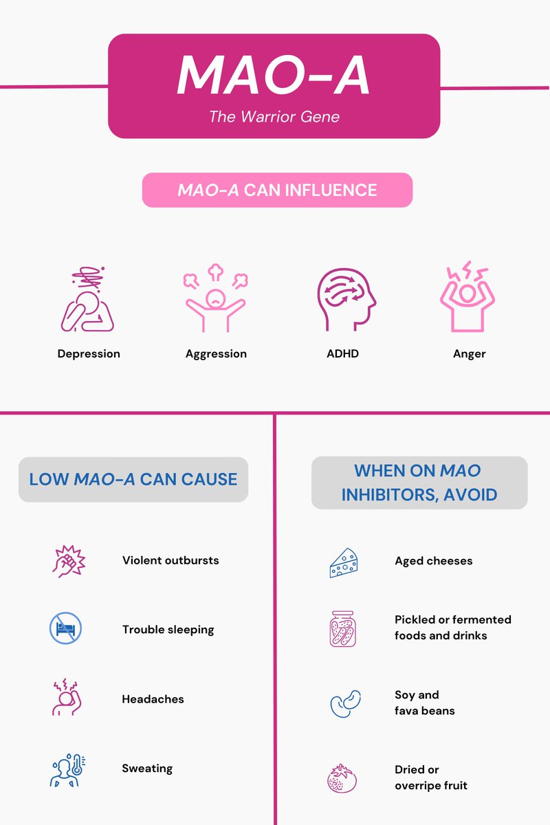 xcode_ls's tweet image. Having trouble sleeping? It could be your MAO-A gene at play.
That's the gene that regulates neurotransmitter levels, and thereby your mood to an extent.
For more on the MAO-A gene, h/t xcode.life/traits-and-per…