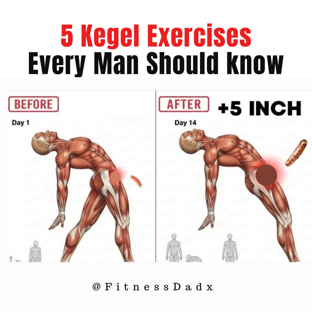FitnessDadx's tweet photo. Doctors Won’t Tell You This 5 Kegel Exercises to Boost Testosterone. 💪

(No Viagra or Cialis Needed) 💊 https://t.co/tcnUPTiPTl