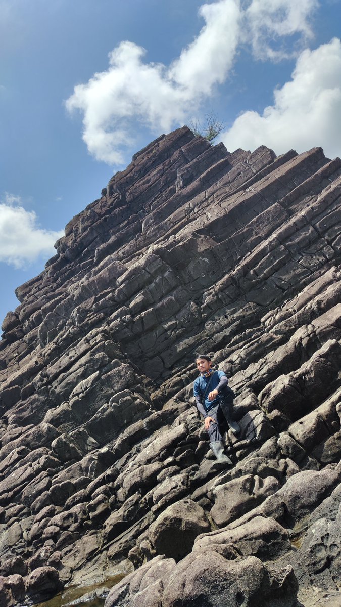 Mark Castillo Bucay tweet media