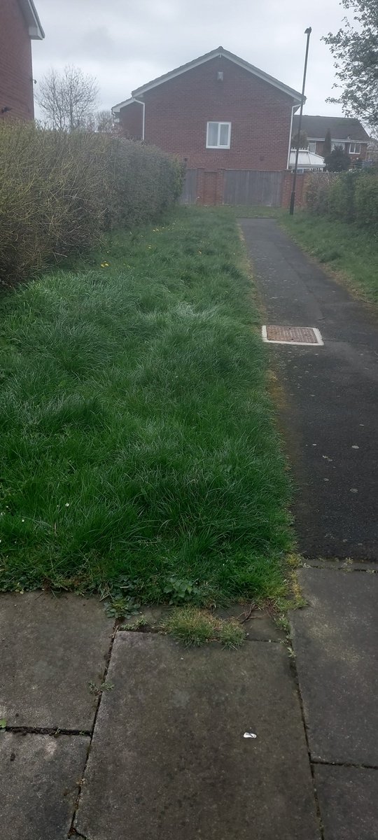 K2 Window Cleaning tweet media