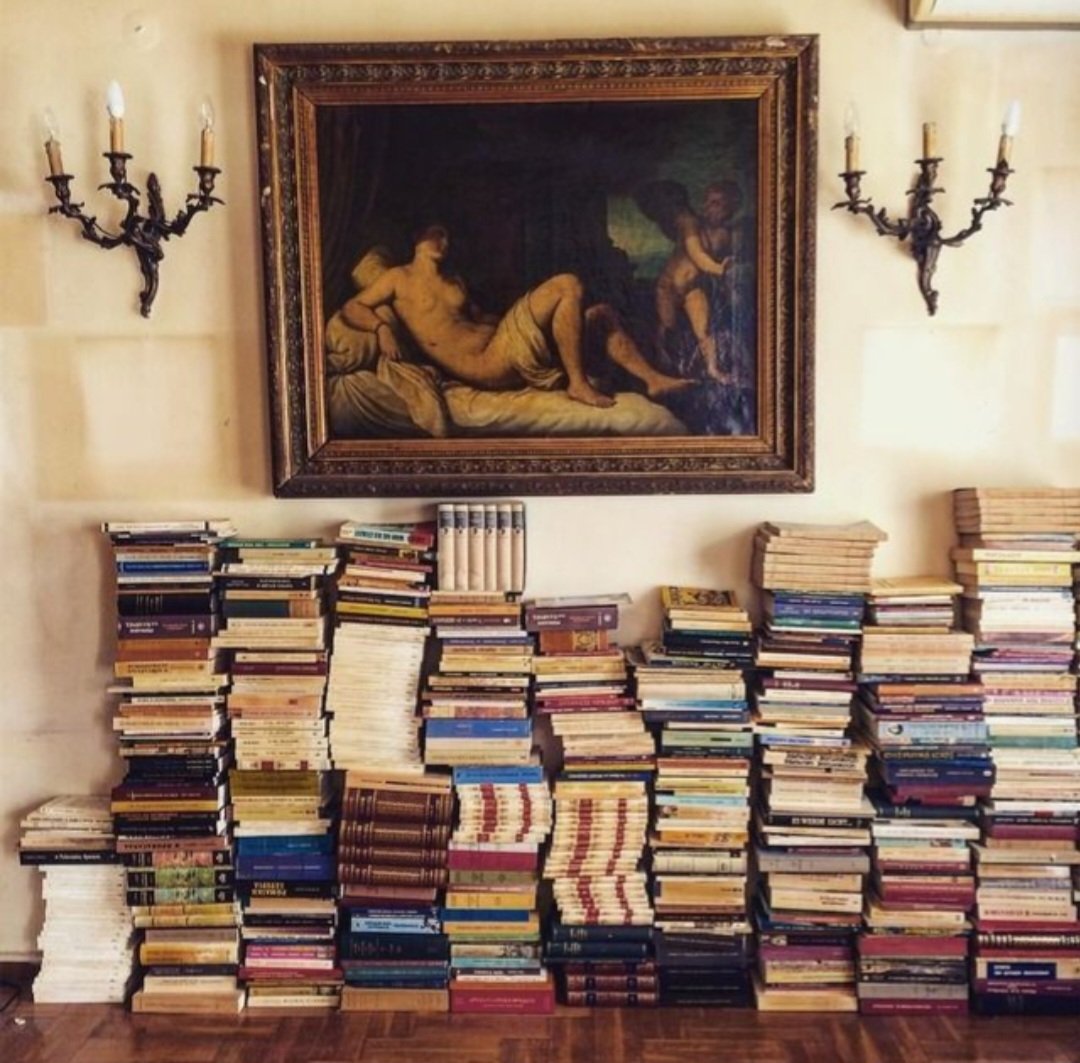 Sophia Proneikos tweet media