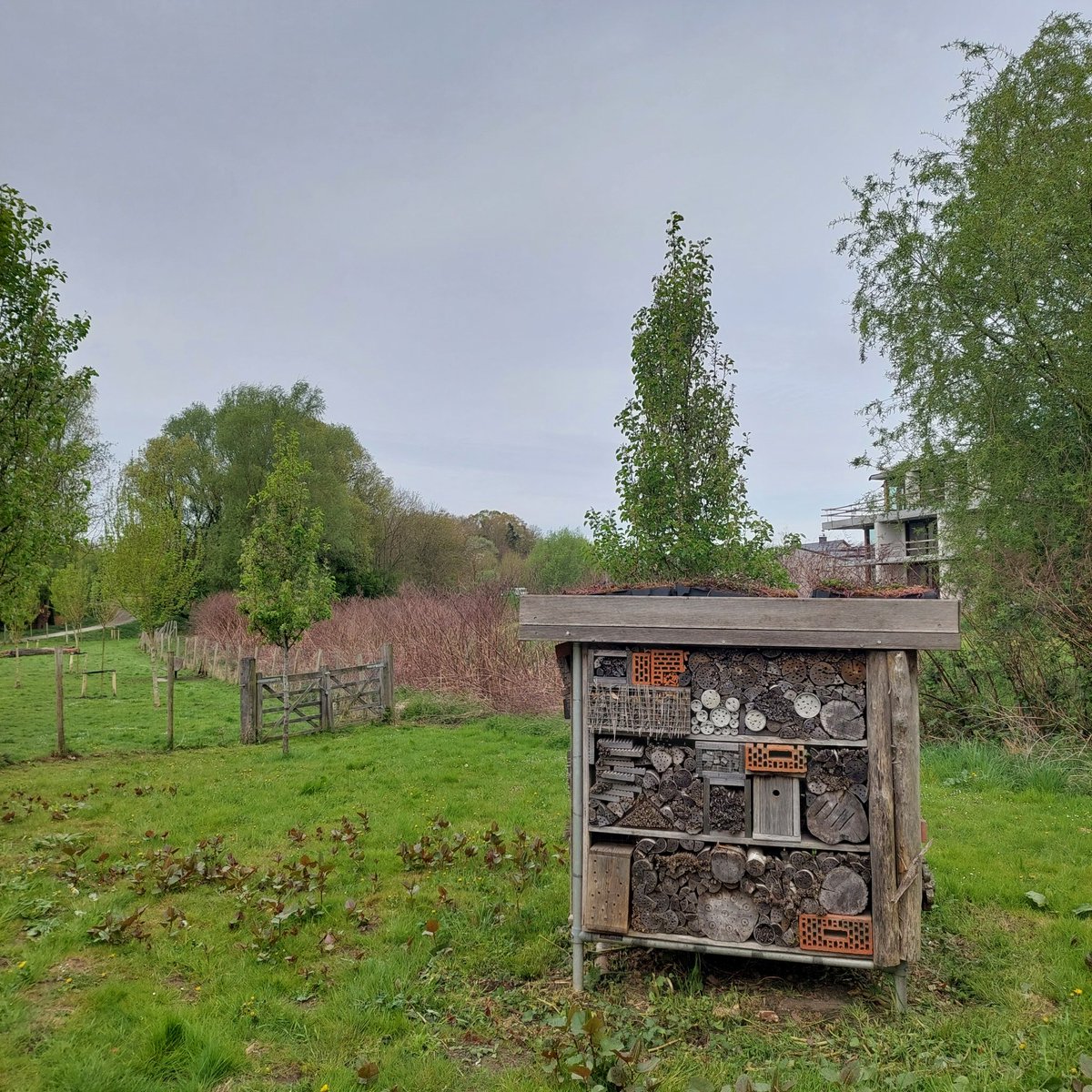 #vrtweer
Geert Rosseel
Ingelmunster 9:51