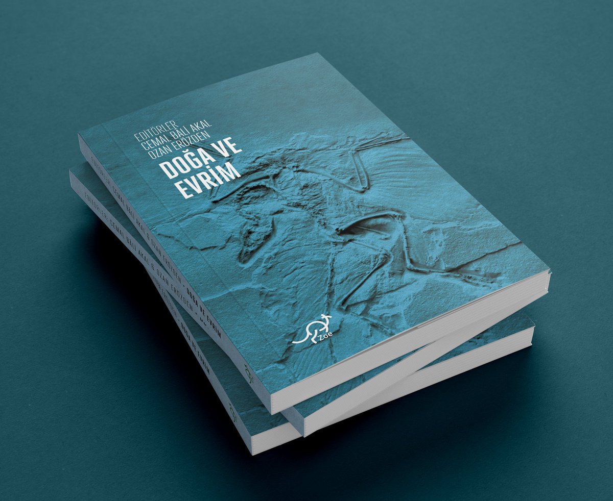 Doğal seçilim, “rastlantı ve zorunluluğun” hüküm sürdüğü bir doğada, her şeyin her şeyle girift bir ilişkiler ağı içinde etkileşimde olması esasına bağlı olarak işleyen, değer yargılarından azade bir süreçtir. Hal böyle olmasına rağmen, doğal seçilimi ereksellikle eşleştirmenin