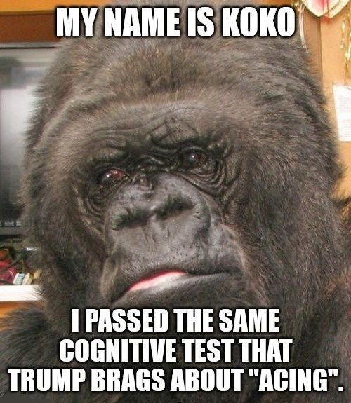 Fun Fact of the Day...