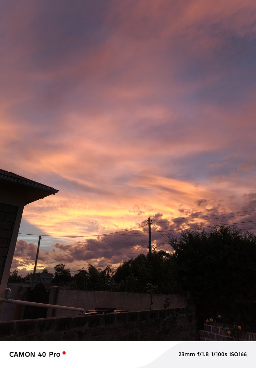 Tony Gaya 🇰🇪 tweet media