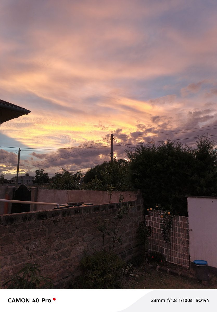 Tony Gaya 🇰🇪 tweet media