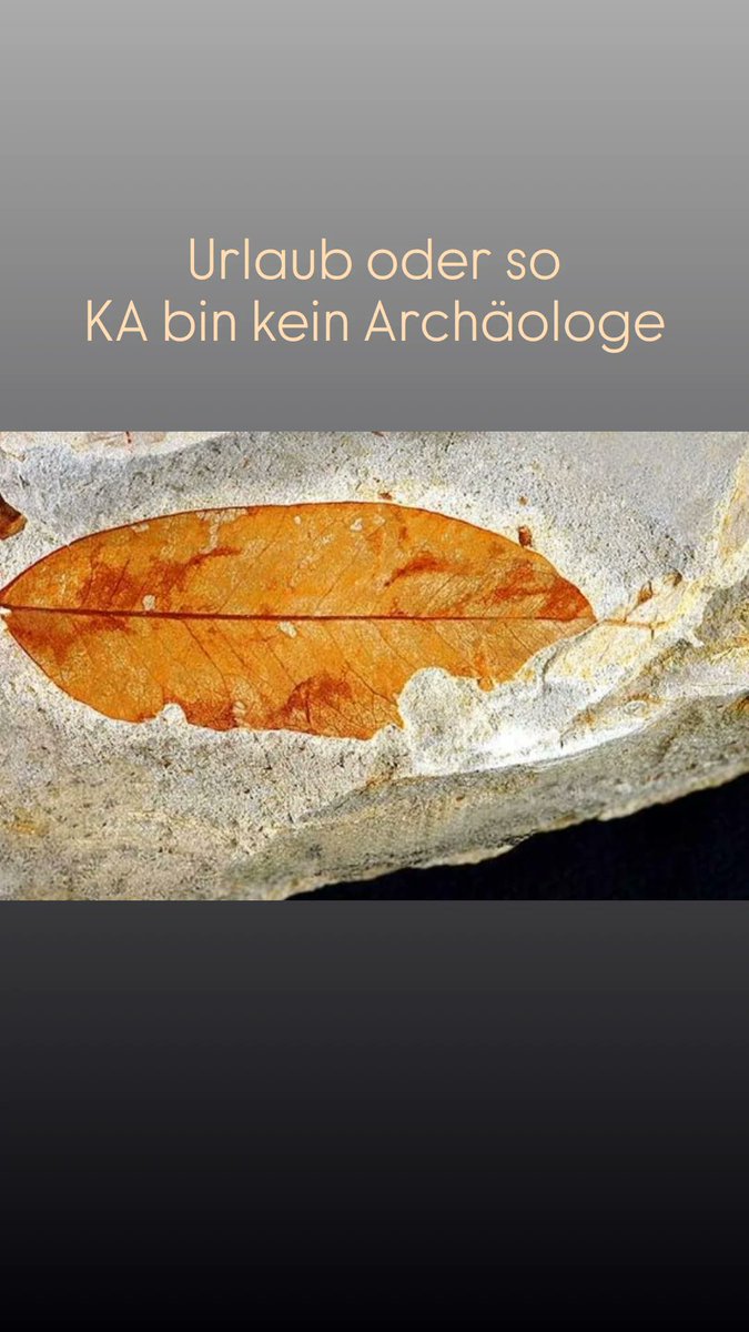 Spamsel ✪ tweet media