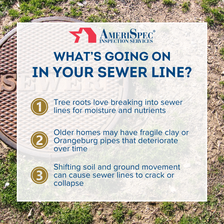 AmeriSpecOregon's tweet image. Most Oregon homes have underground sewer lines, but homeowners rarely think about them—until there’s a problem! Over time, these pipes can develop cracks, root intrusions, or blockages that lead to slow drains and big repairs.
#SewerScope #OregonHomeowners #PNWRealEstate