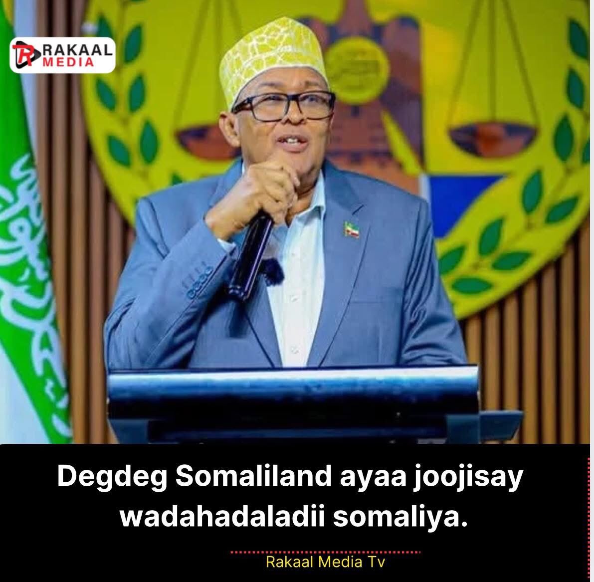 Waa goan aad u wacan Madaxwayne,

Doodu waa somalia iyo somaliland keeba ku xoogan gobalka siyaasad, ganacsi, ciidan.

Somaliland guul