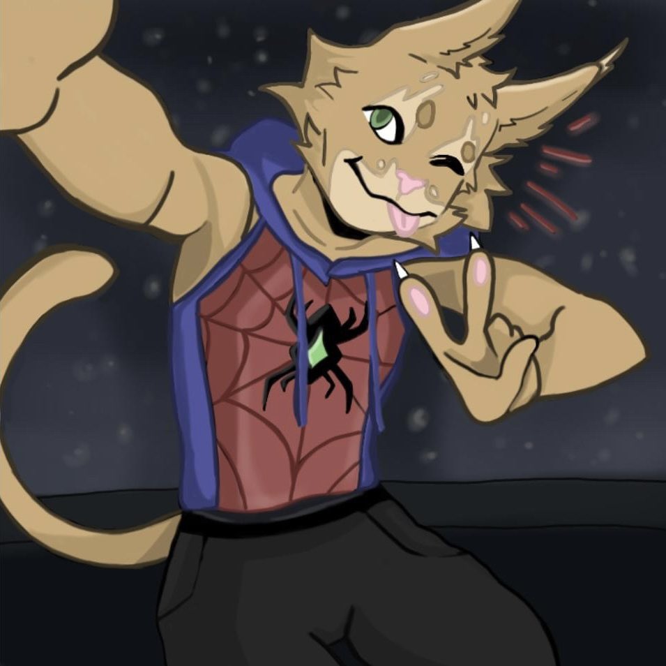 Beezith_'s tweet photo. Someone say spidercat? https://t.co/LFvuezLAAE